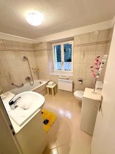 een badkamer met een wastafel, een bad en een toilet bij Cà Laura in Brusio