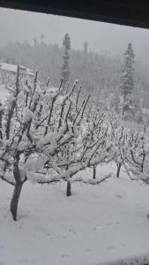 Fotografie z fotogalerie ubytování Apple Garden view and restaurant v destinaci Pahalgam