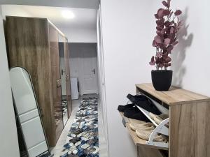 ein Ankleidezimmer mit einem Spiegel und einer Topfpflanze in der Unterkunft Cozy Apartment Central II in Bacău