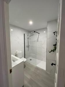 a bathroom with a shower and a toilet and a sink at EL MARINERITO Alcocebre in Alcossebre