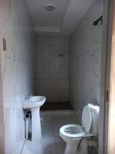La salle de bains blanche est pourvue de toilettes et d'un lavabo. dans l'établissement Luxury 3 Bedroom Self Catering Apartment- Masvingo, à Nyanda