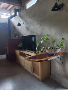 ein Zimmer mit einem Fernseher und einem Tisch mit Pflanzen darauf in der Unterkunft Hermosa casa amplia y luminosa in Villa Los Aromos