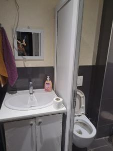 a bathroom with a sink and a toilet at Alpi Hostel in Skopje