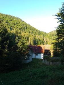 Φωτογραφία από το άλμπουμ του Cabana Valea Stanciului σε Rachitele