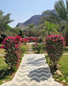 a garden with pink flowers and palm trees and a mountain at Beit Al-Madina in Al ‘Uyūn