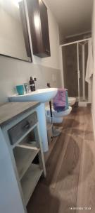 a bathroom with a sink and a toilet at THERANCOBAY - lake view apartment - in Ranco +22 photos