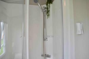 La salle de bains est pourvue d'une douche avec une porte en verre. dans l'établissement Scottish Holiday Home, à Ardeer Square