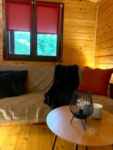 a living room with a couch and a table at DOMKI LETNISKOWE KOMAŃCZA in Komańcza