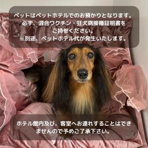 Domácí mazlíčci ubytovaní s hosty v ubytování ホテルプラタナス新横浜