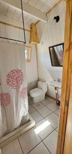 a bathroom with a toilet and a sink at La Torre del Lago in Villa Meliquina