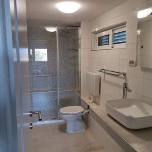 a bathroom with a toilet and a shower and a sink at Apartments Tinjarosa in Mundanije +45 photos