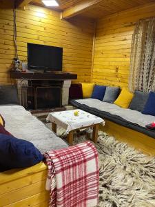 Koplik的住宿－Vila Kanadeze，客厅设有两张沙发和一个壁炉