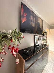 Televízia a/alebo spoločenská miestnosť v ubytovaní Apartman Pannonica Pin 0-24h