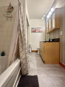 ein Bad mit Dusche und Duschvorhang in der Unterkunft Perfect Location! Entire appartement. Le Plateau. in Montreal