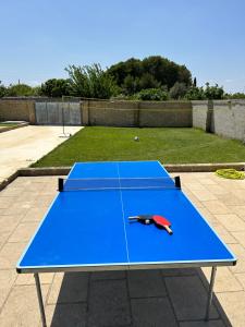 una mesa de ping pong azul en la parte superior de una cancha en Villa Perilli - Luxury Stay con piscina privata, en Diso