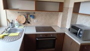 a kitchen with a sink and a microwave at Apartament Radzikowskiego in Krakow
