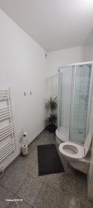 un bagno con doccia in vetro e WC di Haus Kolbnitz a Unterkolbnitz