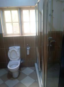 a bathroom with a toilet and a shower at Petesville Hotel Limited in Calabar