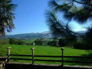 a fence in front of a green field with a tree at Bajo el arce del parque de Cabarceno , casa rural in Sobarzo