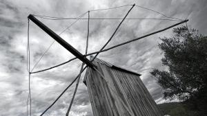 Fotografie z fotogalerie ubytování M Butterfly v destinaci Alvorge