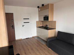 Η κουζίνα ή μικρή κουζίνα στο Apartamenty Platinex 1