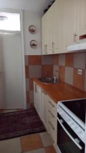 uma cozinha com um lavatório e uma bancada em Stan u Zenici em Zenica