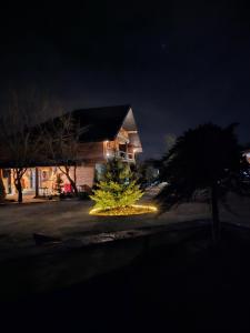 une maison avec un arbre de Noël devant elle la nuit dans l'établissement Bârlogul Vikingilor, à Şotrile