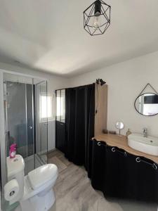 ein Badezimmer mit einem WC, einem Waschbecken und einem Spiegel in der Unterkunft la halte des marais in Huismes