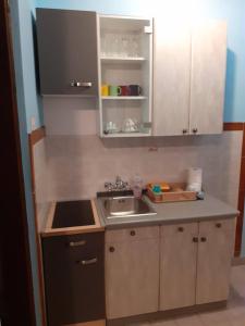 a small kitchen with a sink and a counter at Apartments Pavlović in Linardići