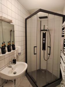 a bathroom with a shower and a sink at * Wohlfühloase Köln I * in Cologne