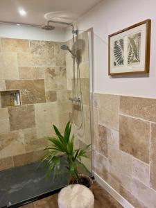 a bathroom with a shower with a plant in it at Studio la Grange in Fontevraud-l'Abbaye