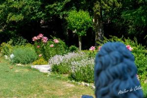 Φωτογραφία από το άλμπουμ του Gîte au château σε Montboucher-sur-Jabron +21 φωτογραφίες