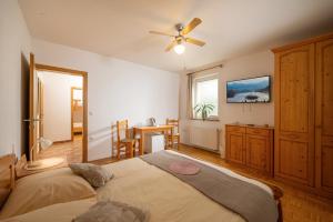 TV o dispositivi per l'intrattenimento presso Rooms & Apartments Pr Matjon