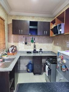 a kitchen with a sink and a stove top oven at Asfranz Apartment Luxury One-Bedroom with Private Garden in Abuja