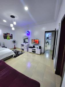 a bedroom with a bed and a tv in it at Asfranz Apartment Luxury One-Bedroom with Private Garden in Abuja