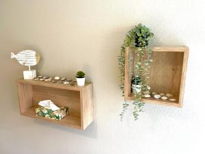 two wooden shelves on a wall with plants on them at Côte & Mer. Studio 3 personnes bord de mer in Sangatte