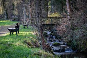 Loodusmaastik korterhotelli lähedal