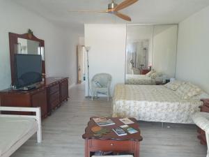 ein Schlafzimmer mit einem Bett, einem TV und einem Sofa in der Unterkunft Just in paradise in Baie Nettle