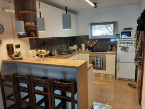 a kitchen with a counter and a refrigerator at Villa Matejo in Mimice +41 photos