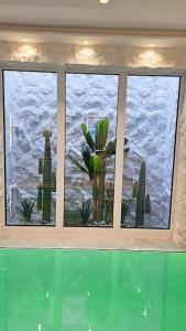 een raam met een vaas met cactus erin bij UG Neubau City Wohnung (Pool+Gym extra buchbar für €150/Tag) in München