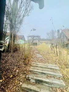 Vonkajšia záhrada v ubytovaní Kellerstöckl am Rosenberg Romantik pur