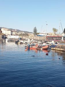 um grupo de barcos está ancorado num porto em Beatrice Ognina Palace em Catânia