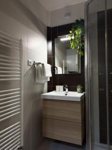 La salle de bains est pourvue d'un lavabo et d'un miroir. dans l'établissement Historical Heart Home, à Prague