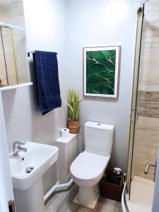 普里茅斯的住宿－4Alma St，白色的浴室设有卫生间和水槽。