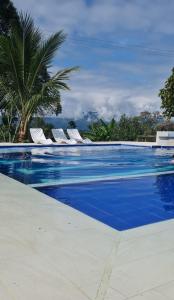 a swimming pool with blue water and palm trees at FINCA HOTEL LA BONITA BY LA MACORINA in Quimbaya