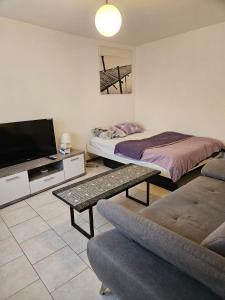 a living room with two beds and a couch at Joli Studio in La Chaux-de-Fonds