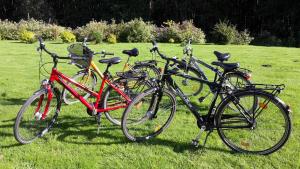 quatre vélos garés sur l'herbe dans un champ dans l'établissement Ferienwohnung OG Kasten GM 69471, à Müritz