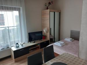 Televizors / izklaižu centrs naktsmītnē Apartament Jelenia Góra - Cieplice