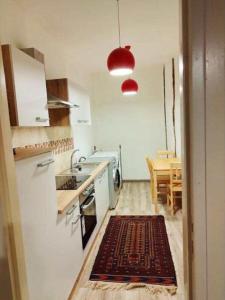 cocina con fregadero y mesa con alfombra en GERS -Midi-Pyrénées -Appartement 2chambres, en Castelnau-dʼAuzan