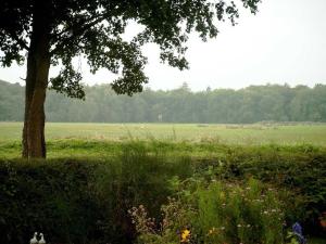 Příroda nedaleko apartmánu